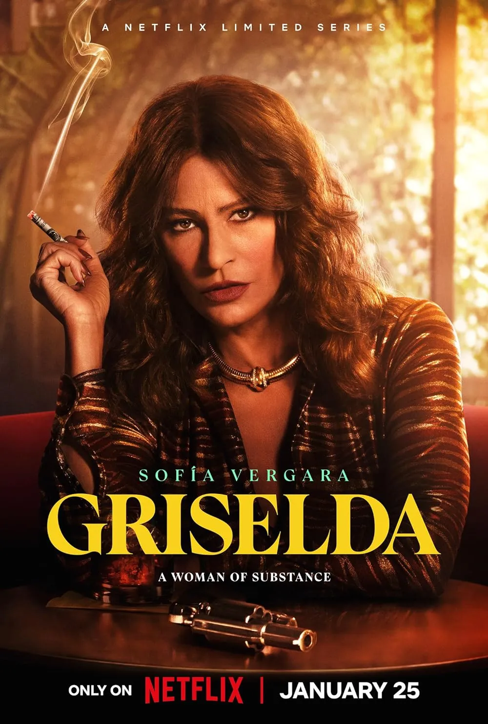 Griselda 2024 S01 EP (01-06) Hindi NF Series 480p HDRip 1.3GB Download