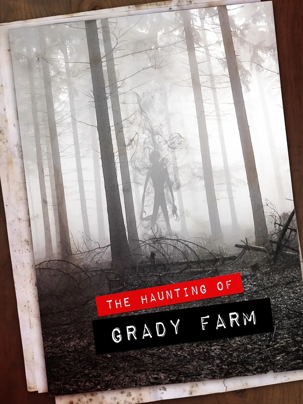 The Haunting of Grady Farm 2019 Hindi ORG Dual Audio 720p | 480p HDRip Download