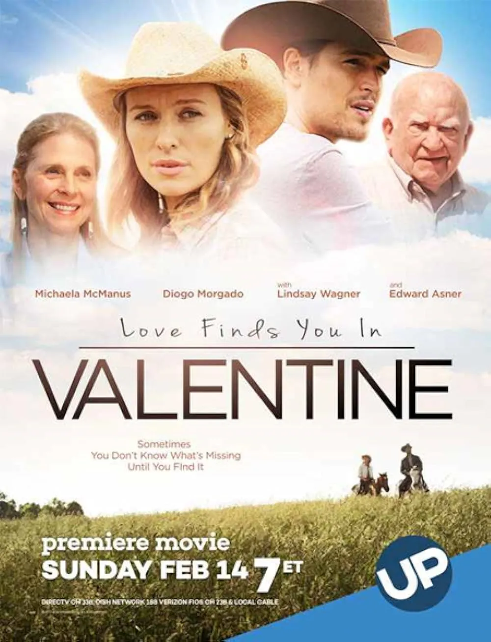 Love Finds You in Valentine 2016 Hindi ORG Dual Audio 1080p | 720p | 480p BluRay Download