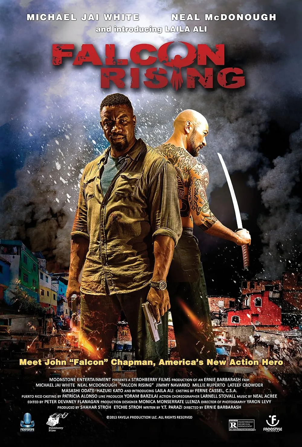 Falcon Rising 2014 Hindi ORG Dual Audio 480p BluRay ESub 400MB Download