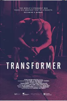 Transformer 2017 720p.WEB 1080p.WEB Download