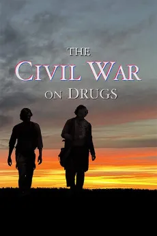 The Civil War on Drugs 2011 YTS 720p BluRay 800MB Full Download
