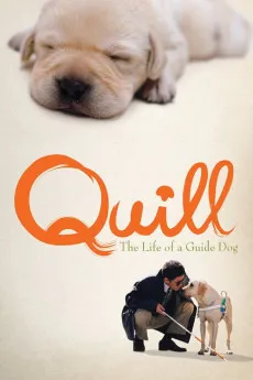Quill: The Life of a Guide Dog 2004 JAPANESE YTS High Quality Full Movie Free Download