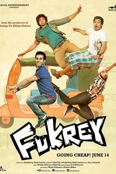 Fukrey 2013 HINDI YTS 720p BluRay 800MB Full Download