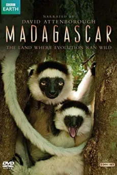 Madagascar 2011 YTS 1080p Full Movie 1600MB Download