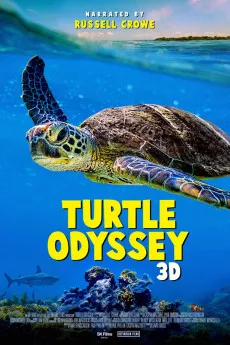 Turtle Odyssey 2018 YTS High Quality Full Movie Free Download