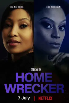 Home Wrecker 2023 YTS 1080p Full Movie 1600MB Download