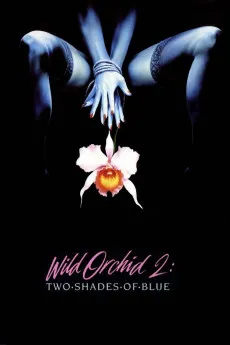 Wild Orchid II: Two Shades of Blue 1991 YTS 720p BluRay 800MB Full Download