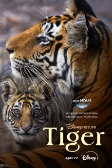 Tiger 2024 FRENCH YTS High Quality Free Download 720p