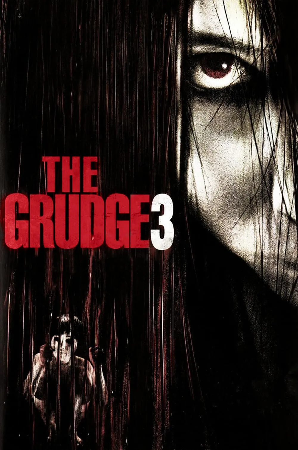 The Grudge 3 2009 Hindi ORG Dual Audio 1080p | 720p | 480p BluRay ESub Download